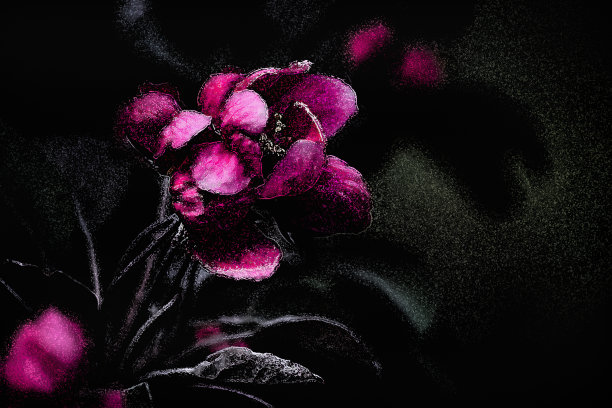 黑色的抽象背景图片下载