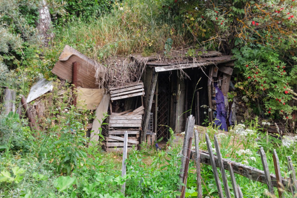 木制废弃的谷仓图片下载