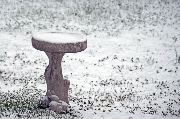 水盆上有雪图片下载