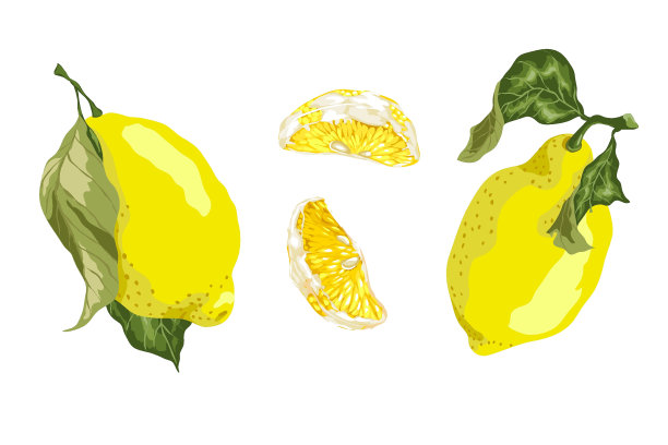 放置2个柠檬水果和2片柠檬图片下载