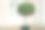 圆形的孤独装饰树在一个盆在街道上的房子的背景图片下载