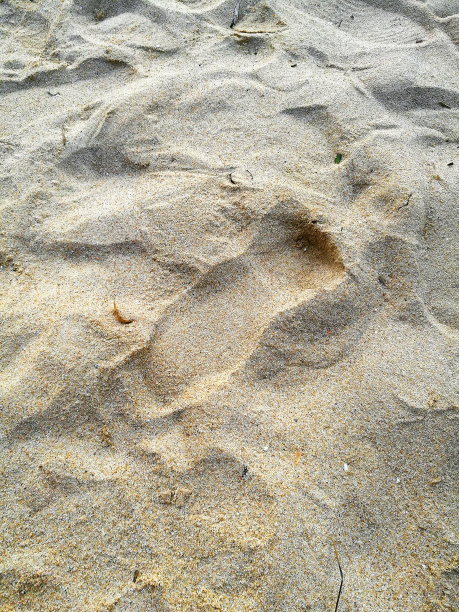 沙背景图片下载