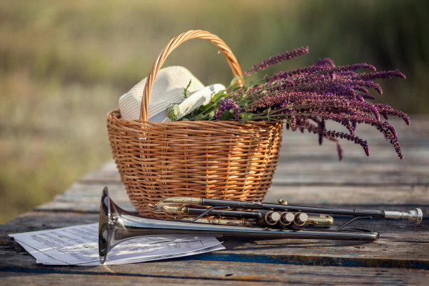 篮子，野花，喇叭图片下载