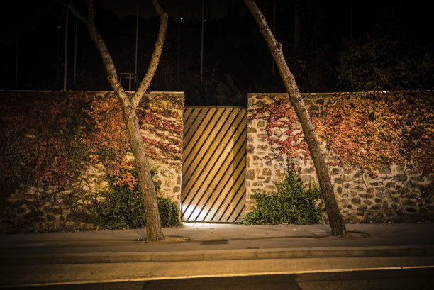 黄金大门图片下载