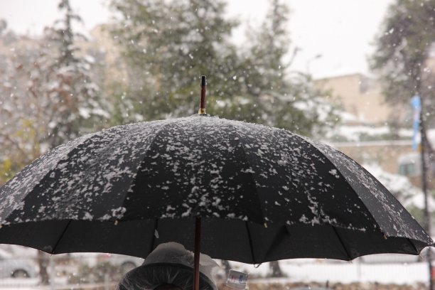 从耶路撒冷的斯诺威街图片下载