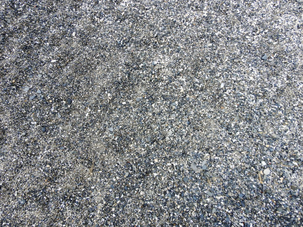 鹅卵石和贝壳图片下载