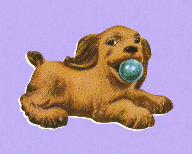 玩球的狗图片下载