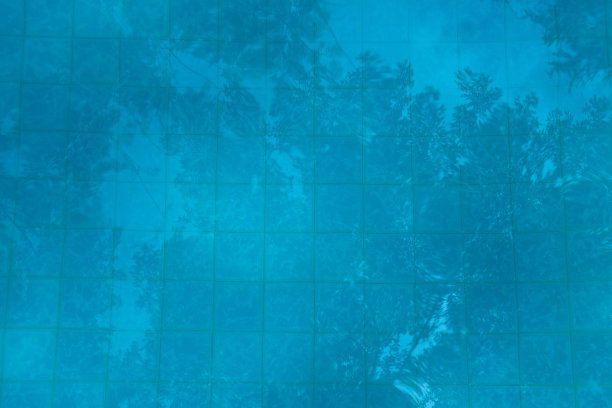 抽象背景清澈的蓝色游泳池与树反射度假放松图片下载
