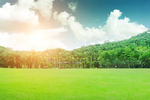 蓝天白云下的绿草图片下载