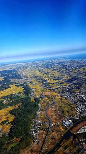 起来,走图片下载