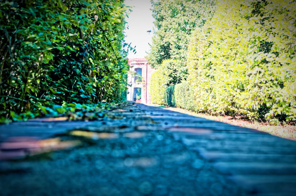 Bürger公园在Saarbrücken德国萨尔的公园，在绿色的光学与铺路石和纪念碑的背景图片下载