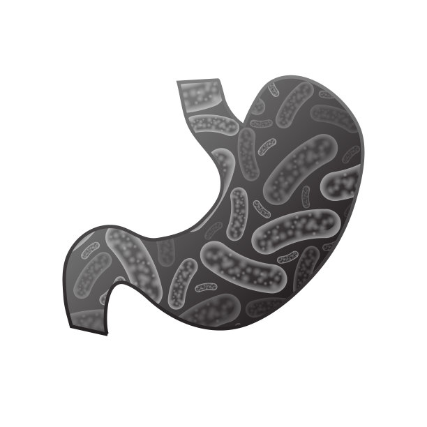 胃与细菌图片下载