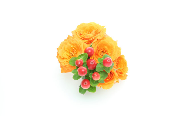 白色背景下的玫瑰和金丝桃花束图片下载