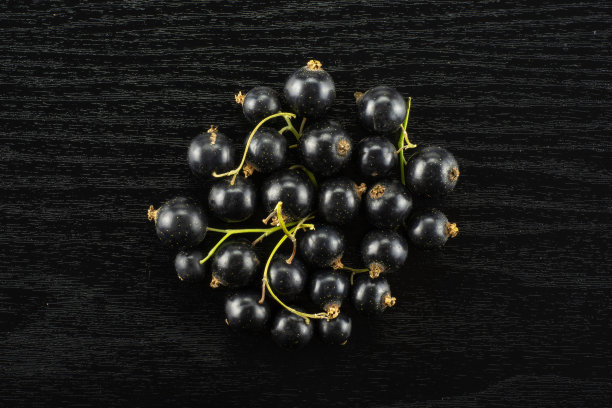 新鲜的生黑加仑子在黑木头上图片下载