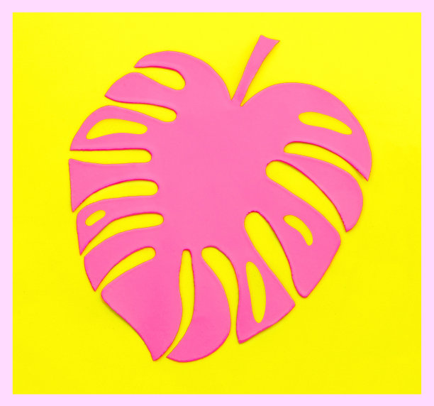 黄色背景的纸上的粉红色热带蒙斯特拉树叶。时尚简约波普艺术风格。图片下载