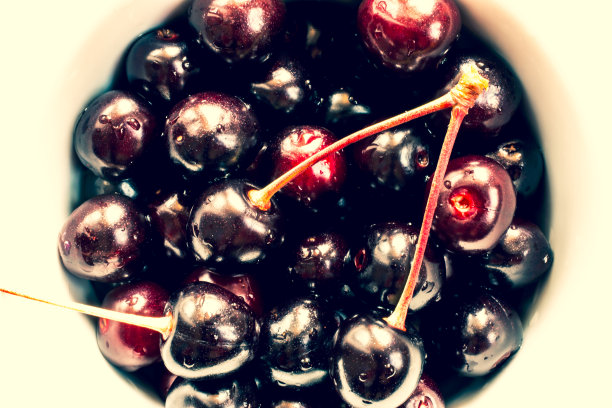 野生甜樱桃图片下载