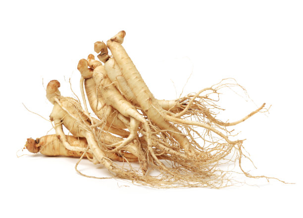 白色背景上的新鲜人参图片下载