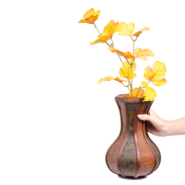 木瓶秋叶在手图片下载