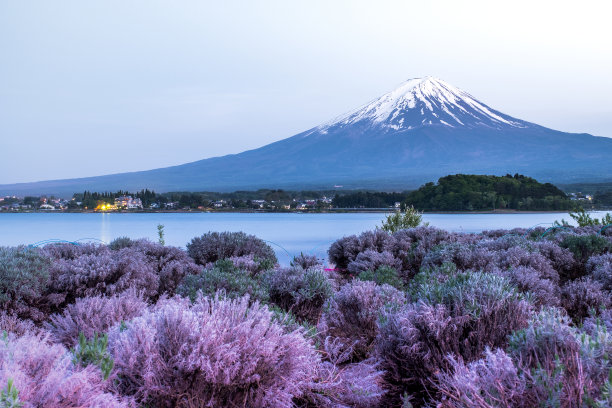 富士山和花飞观，富士山背景湖川口湖日本富士五湖之一图片下载