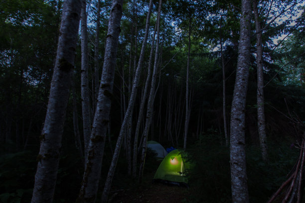 营地在森林图片下载