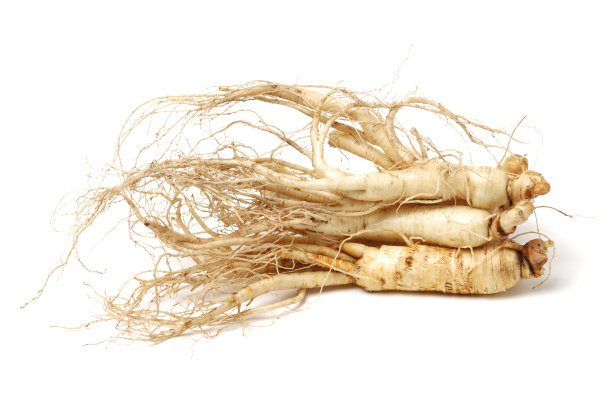 白底上分离的人参图片下载