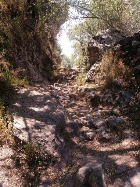 石头小径和灌木丛图片下载