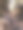 石头小径和灌木丛图片下载