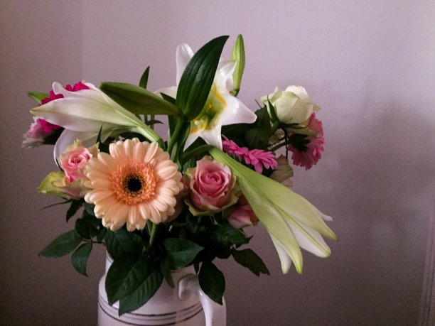 静物画图片下载