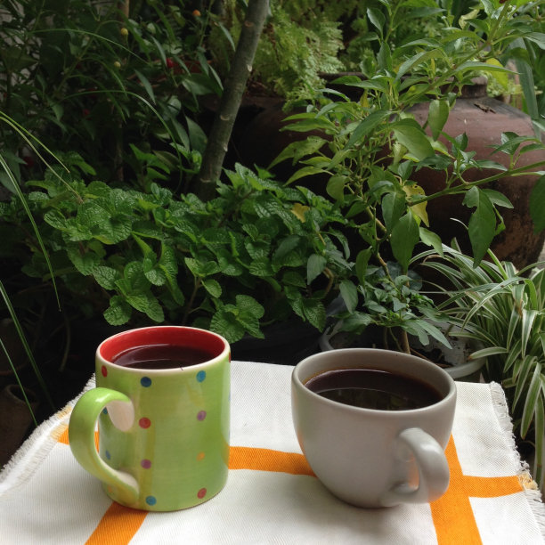 花园咖啡杯图片下载