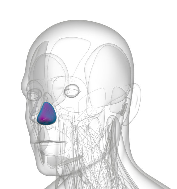 扩张器naris的三维渲染医学插图图片下载