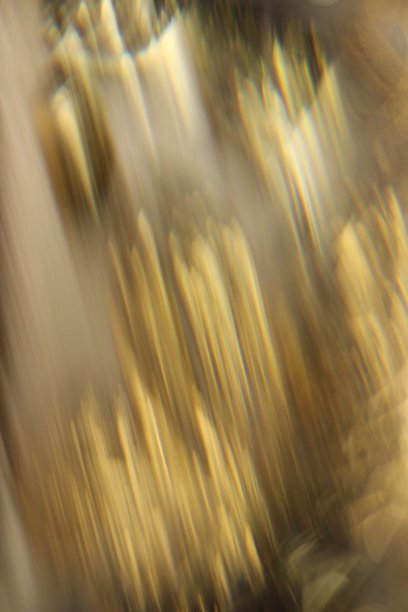 金色的花卉图案图片下载