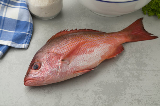 北方红鲷鱼准备烹饪图片下载