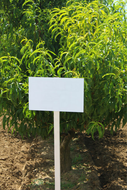 白板。图片下载