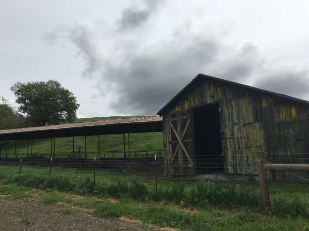 废弃的旧谷仓图片下载