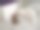 乌龟和猫之间的友谊图片下载