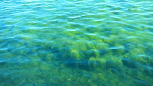 波纹在水面上图片下载