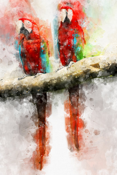 金刚鹦鹉的鸟。数字艺术水彩画抽象画图片下载