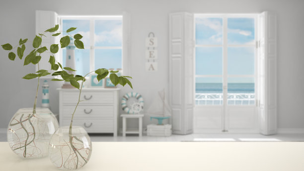 白色的桌面或架子用玻璃花瓶和水栽植物、装饰品、水中植物的根、花瓶中的枝、室内植物，现代模糊了客厅的背景，室内设计图片下载