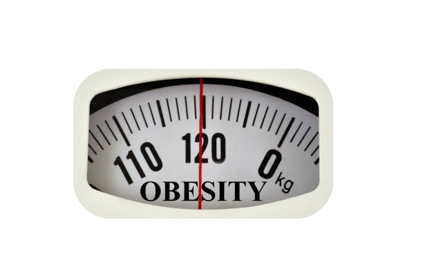 肥胖图片下载