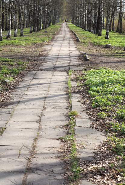 城市公园的春天图片下载