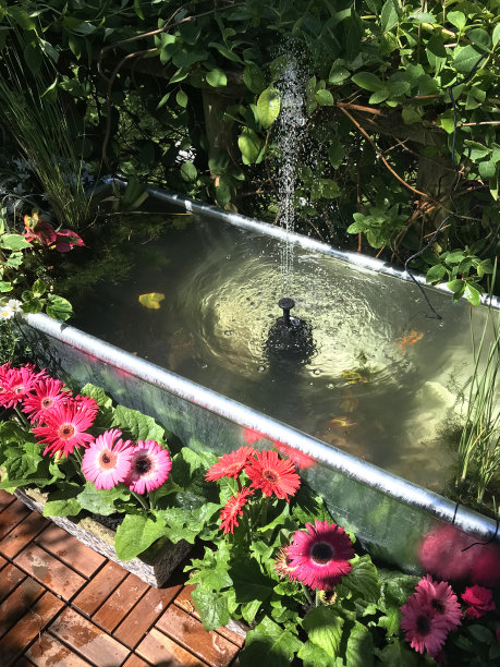 花园的树屋阳台平台阳台在夏天与锌金属槽池塘水功能，太阳能喷泉泵，金鱼鱼，边缘植物，红色微型玫瑰，粉色非洲菊花，柚木装饰瓷砖，太阳能照明，照明图片下载