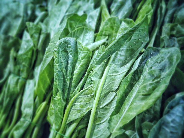 超市里卖的羽衣甘蓝图片下载