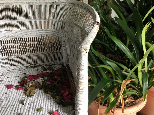 花园椅子上的花瓣图片下载