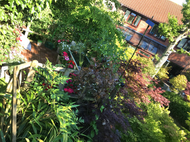 夏季花园树屋露台平台阳台与现代红砖房子/温室，锌金属槽池塘水景与太阳能喷泉泵，金鱼鱼，边缘植物，红玫瑰，非洲菊花，装饰瓷砖，太阳能灯图片下载