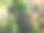 夏季花园树屋露台平台阳台与现代红砖房子/温室，锌金属槽池塘水景与太阳能喷泉泵，金鱼鱼，边缘植物，红玫瑰，非洲菊花，装饰瓷砖，太阳能灯图片下载