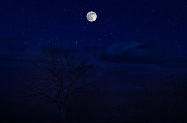 月圆之夜，山路穿过森林。风景优美的夜景乡村小路，夜晚有大月亮。长快门的照片图片下载