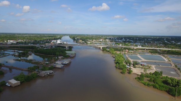 梅的空气图片下载