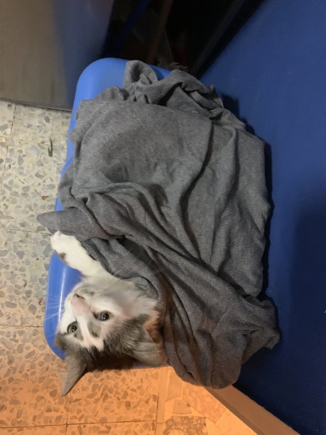 在盒子里聊天图片下载