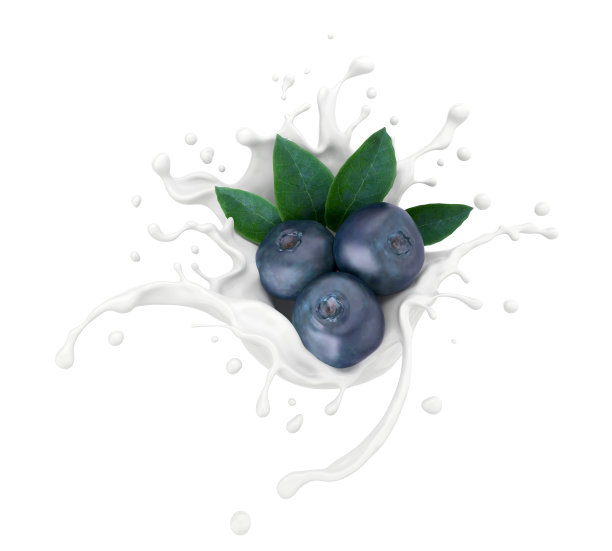 蓝莓与牛奶或酸奶飞溅。图片下载