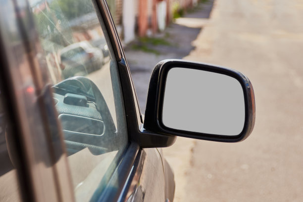 动作捕捉侧后视镜图片下载